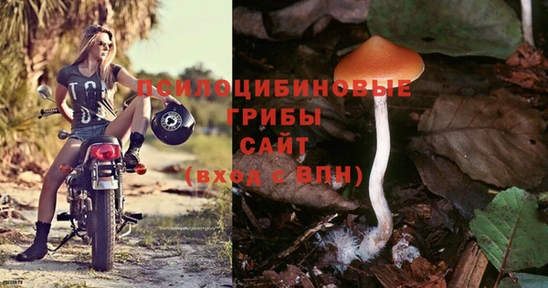 гидра Михайловка